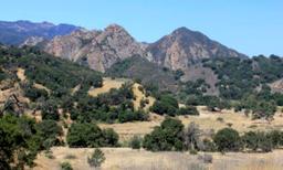 Boy Attacked by Mountain Lion at Malibu Creek State Park in Calabasas