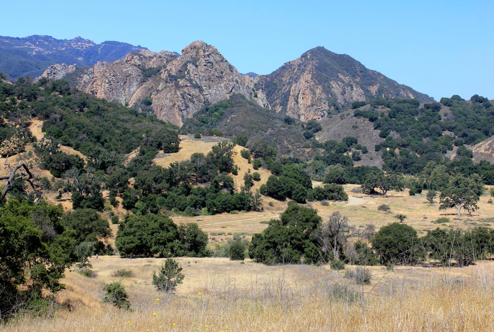 Boy Attacked by Mountain Lion at Malibu Creek State Park in Calabasas