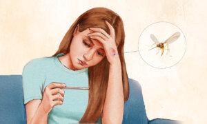 West Nile Virus Infection: Symptoms, Causes, Treatments, and Natural Approaches