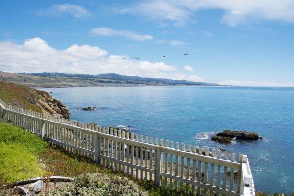 Looking south from Pigeon Point along the San Mateo Coast of California. (Courtesy of Karen Gough)