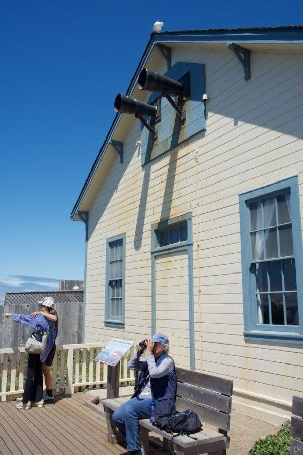 Inactivated foghorns (diaphone horns) protrude from the back wall of Pigeon Point’s fog-signal building. (Courtesy of Karen Gough)