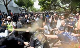 California Man Pleads Guilty to Federal Charge of Inciting Riots at Rallies