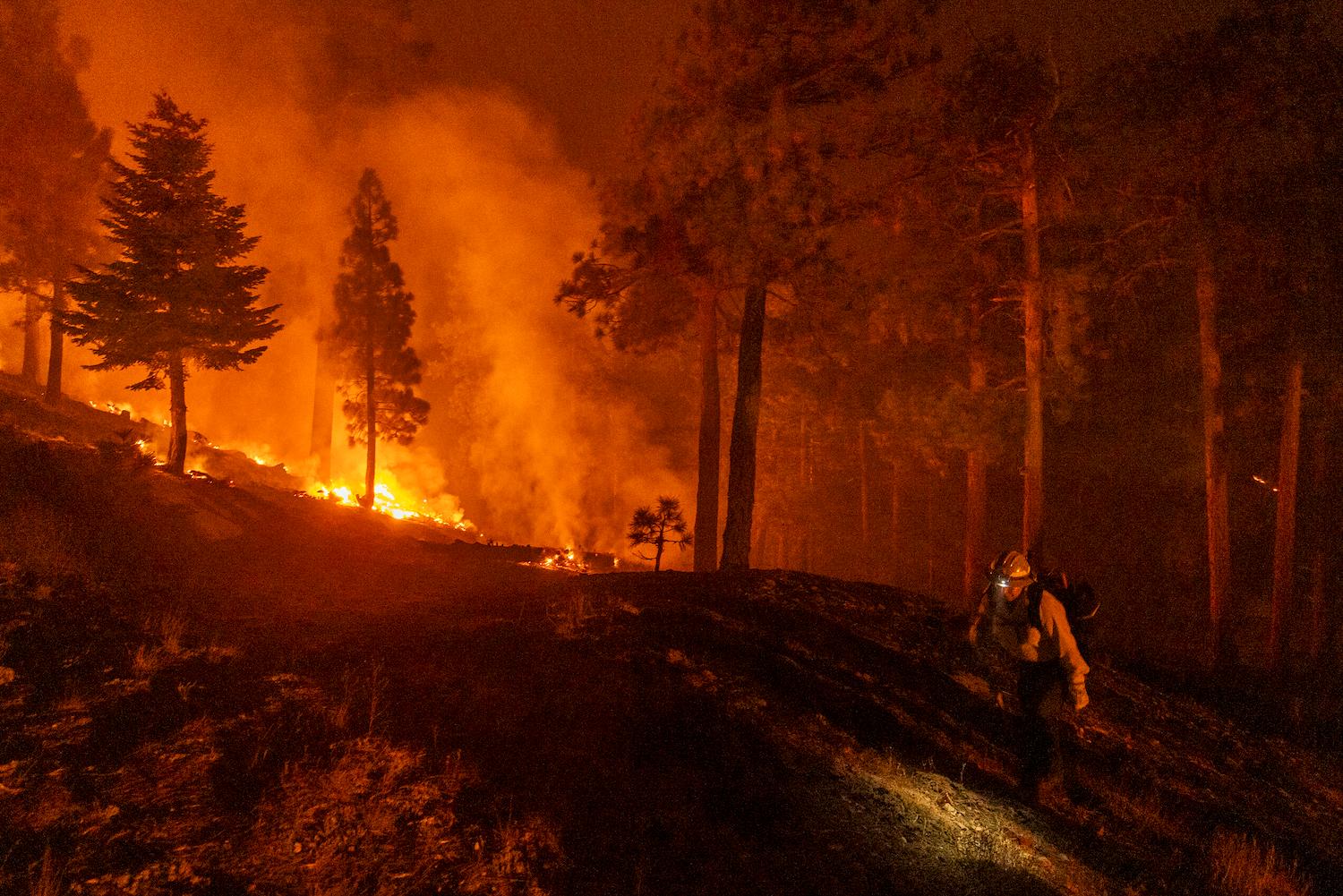 Evacuations Remain in Place for Bridge Fire as It Grows to 85 Square Miles