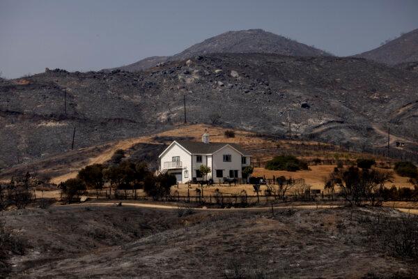 Horses are seen outside a fire spared house amidst the scorched hills after the airport fire in the village of El Cariso near Lake Elsinore, Calif.,, on Sept. 12, 2024. (Etienne Laurent/AFP via Getty Images)