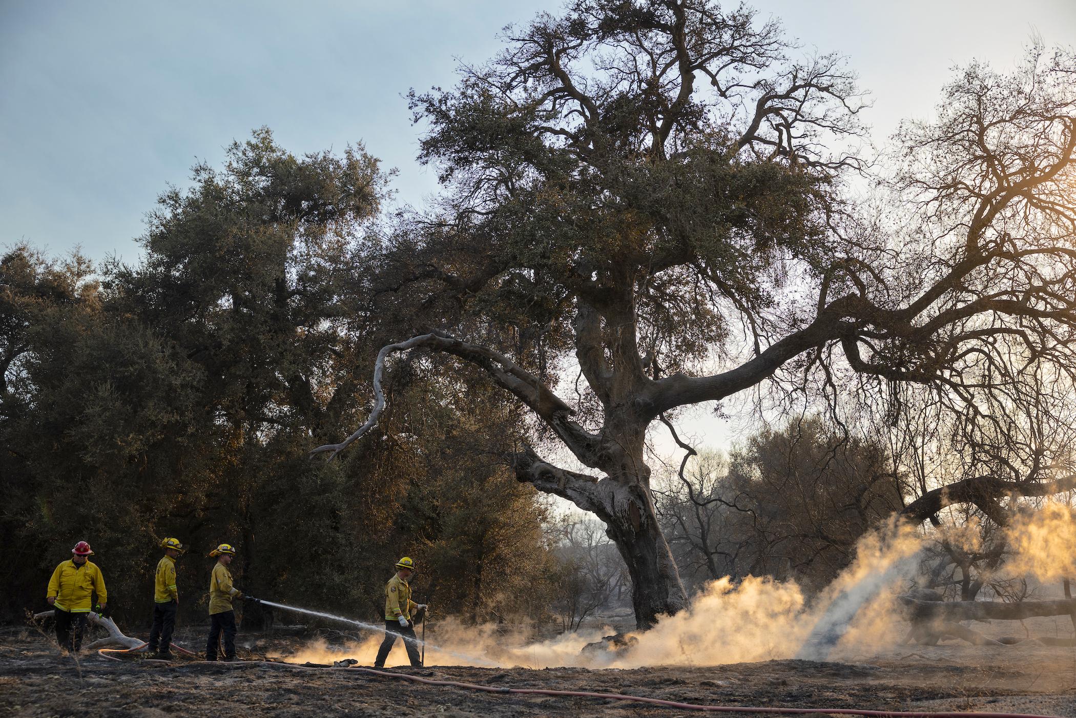 Firefighters Make Progress on Airport Fire in Orange, Riverside Counties