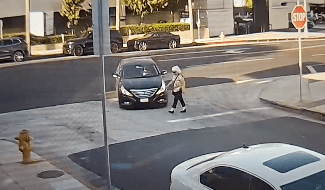 Los Angeles Police Seek Help Locating Hit-and-Run Suspect