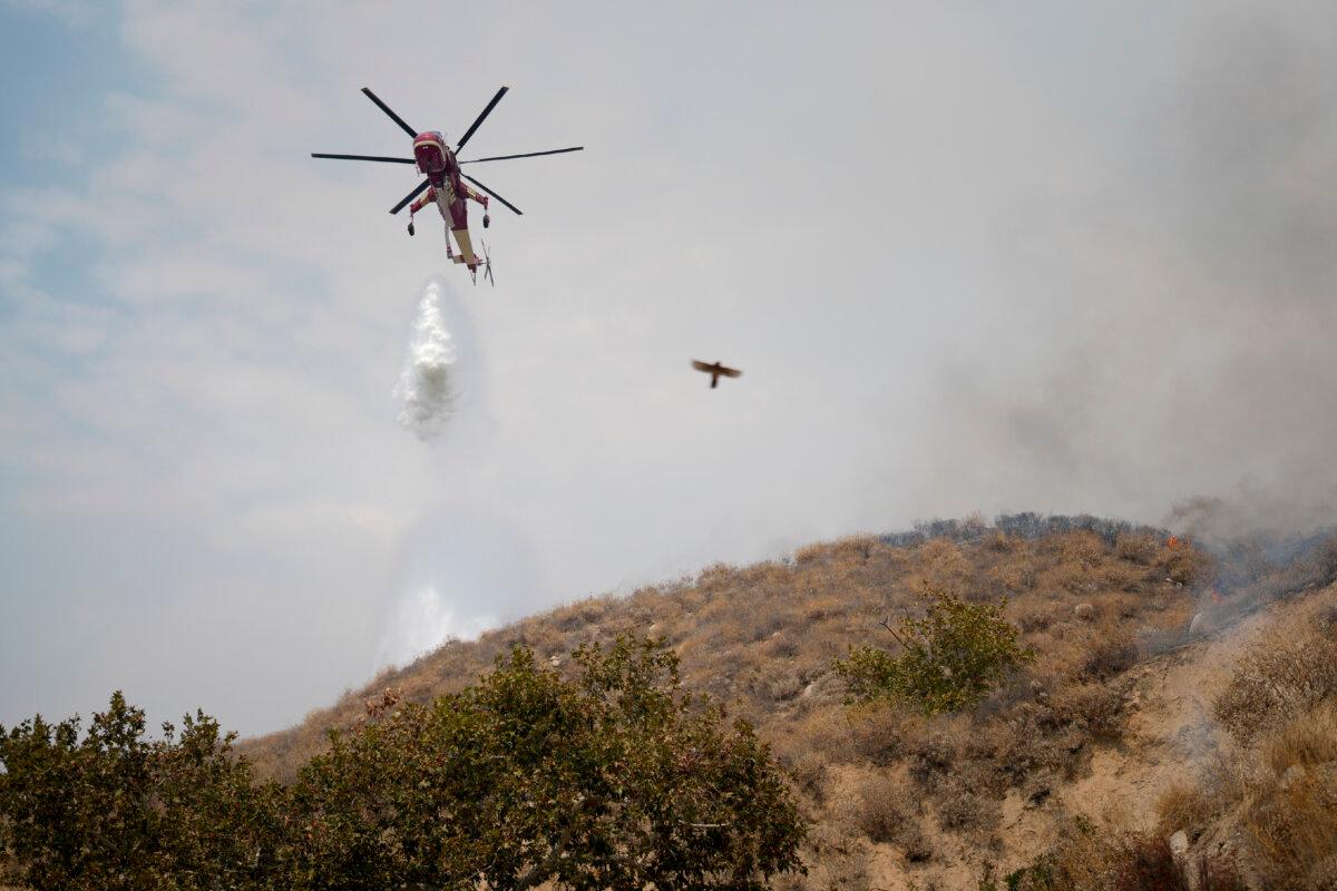 A helicopter drops water onto the Line Fire in Highland, Calif., on Sept. 7, 2024. (Eric Thayer/AP Photo)