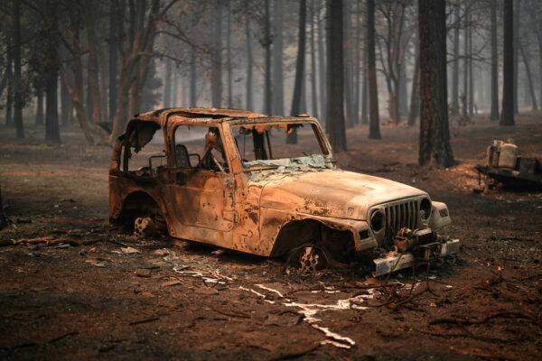 A vehicle and surrounding forest are burned after the Bridge Fire swept through on Sept. 11, 2024, in Wrightwood, Calif. (Eric Thayer/AP Photo)