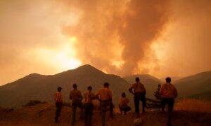 California Wildfire Flareup Prompts Evacuation in San Bernardino County