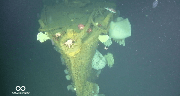 ‘Ghost Ship’ World War II Destroyer Found Off California