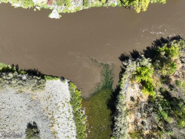 The Klamath River downriver of Happy Camp, Calif., near Clear Creek in Siskiyou County on Sept. 29, 2024. (Courtesy of Mel Fechter)