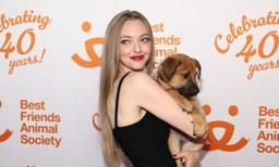 Amanda Seyfried Says Her 15-Year-Old Rescue Dog Helped Her Avoid Trouble in Hollywood