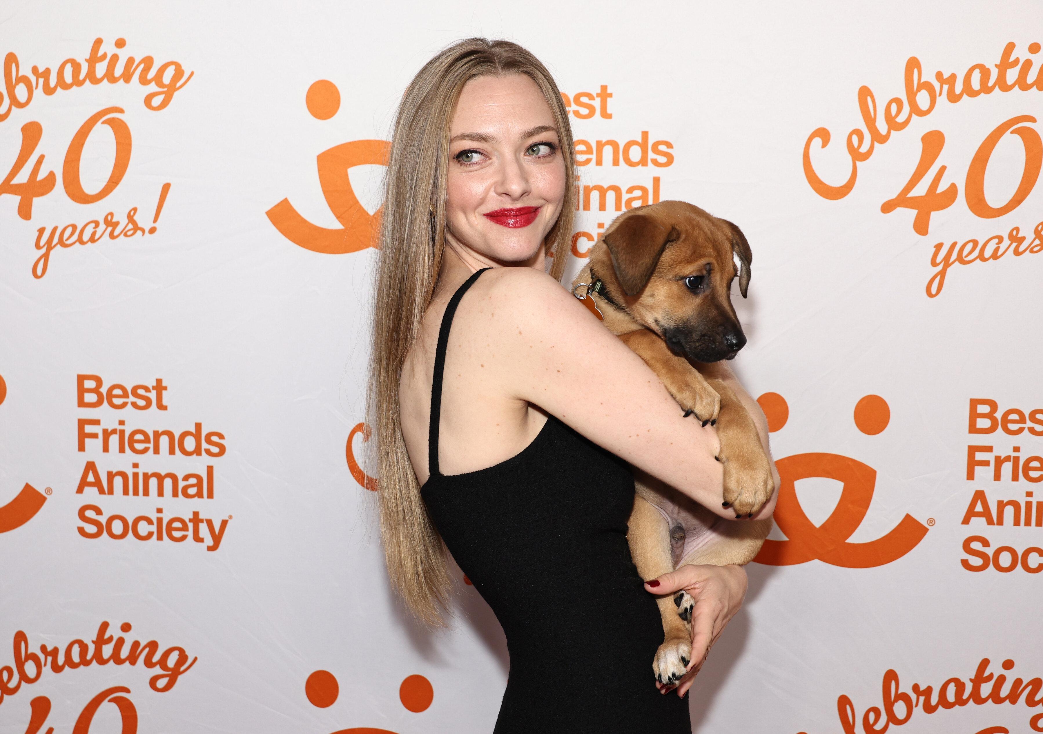 Amanda Seyfried Says Her 15-Year-Old Rescue Dog Helped Her Avoid Trouble in Hollywood