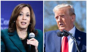 Harris Raised, Spent Far More Than Trump in First Half of October