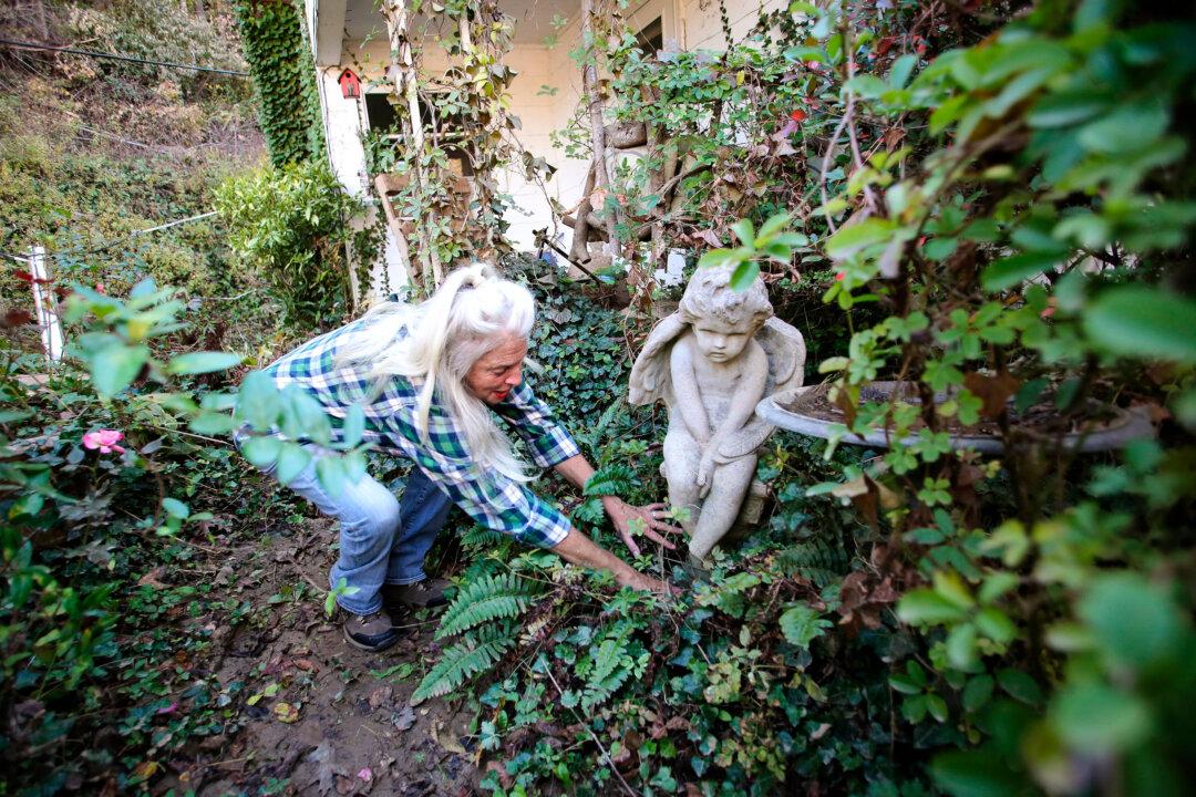 Tammy McMahan moves back foliage where her mother’s remains are interred in an urn at the foot of an angel statue at her home in Burnsville, N.C., on Oct. 21, 2024. Fortunately, the flood left her mother's remains intact. (Bobby Sanchez/The Epoch Times)