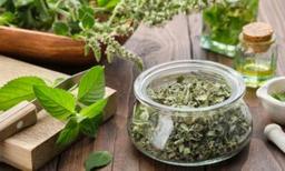 Peppermint Power: How to Use the Herb for Tummy Trouble