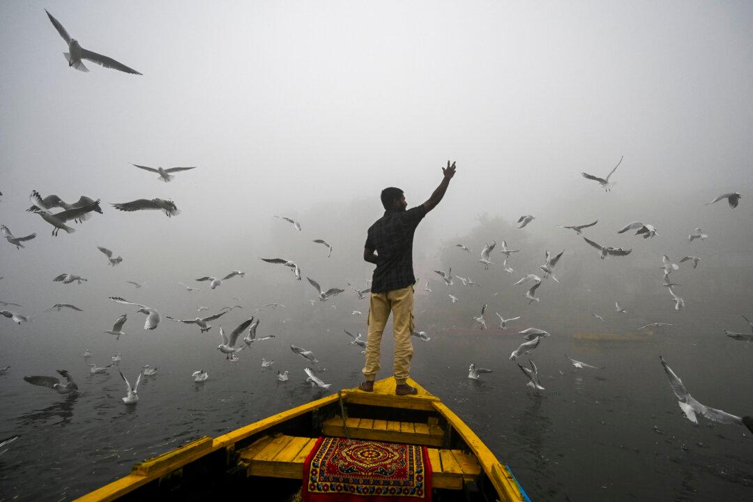 A man feeds seagulls in the waters of river Yamuna engulfed in smog in New Delhi, India, on Nov. 14, 2024. (Arun Sankar/AFP via Getty Images)