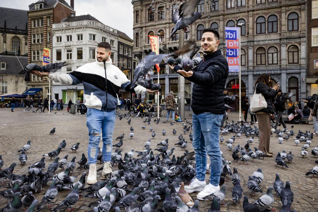 Tourists stand amid the pigeons at the Dam Square in Amsterdam, Netherlands on Nov. 14, 2024, where the emergency ordinance was imposed after the violence following the UEFA Europa League football match between Maccabi and Ajax on Nov. 7. (Ramon van Flymen/ANP/AFP via Getty Images)