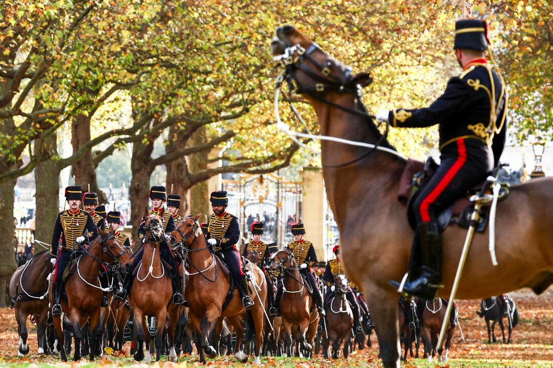 Members of the King's Troop, Royal Horse Artillery, arrive in Green Park, in London, on Nov. 14, 2024 to fire a gun salute to celebrate the King's birthday. (Henry Nicholls/AFP via Getty Images)