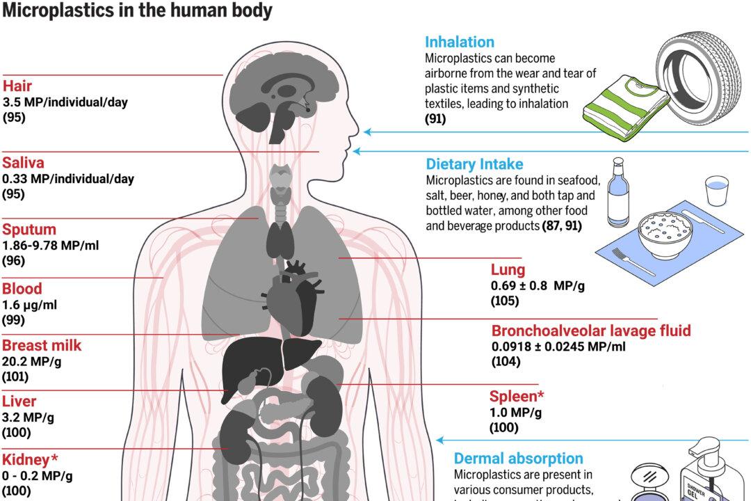 Reprinted with permission from Thompson et. al, Science 386: eadl2746 (2024). University of Plymouth