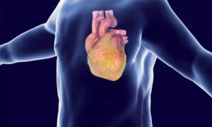 Natural Ways to Reduce Harmful Fat Around the Heart