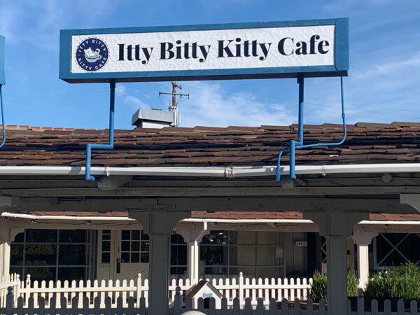 Itty Bitty Kitty Cafe, 14420 Union Ave, San Jose, Calif. (Helen Billings/The Epoch Times)