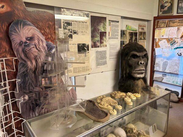 Footprint and animal track casts in the Bigfoot Discovery Museum in Felton, Calif., on Dec. 8, 2024. (Steve Ispas/The Epoch Times)