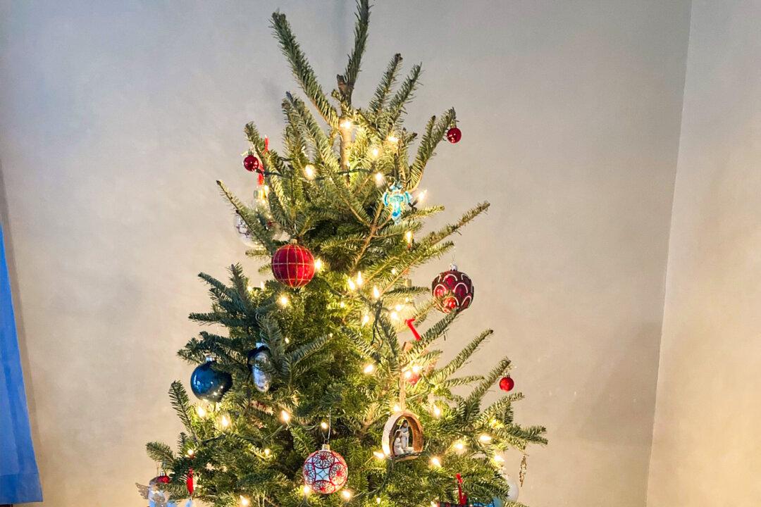 A decorated Christmas tree sits in the home of Kathleen and Vincent Birch, of Fort Wayne, Ind., in 2024. (Courtesy of Kathleen Birch)