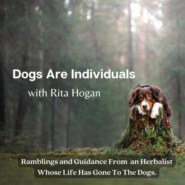 Rita Hogan’s podcast “Dogs Are Individuals.” (Courtesy of Rita Hogan)