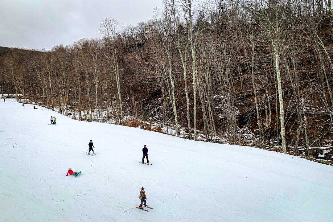 Sugar Mountain skiers and snowboarders glide past a pile of trees brought down by Hurricane Helene more than two months earlier, on Dec. 8, 2024. (T.J. Muscaro/The Epoch Times).