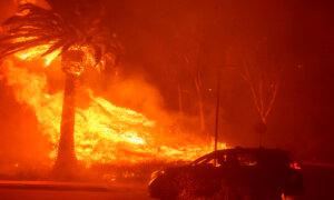 Cher, Dick Van Dyke, Gary Busey Among Thousands Forced to Evacuate Homes Amid Malibu Wildfire