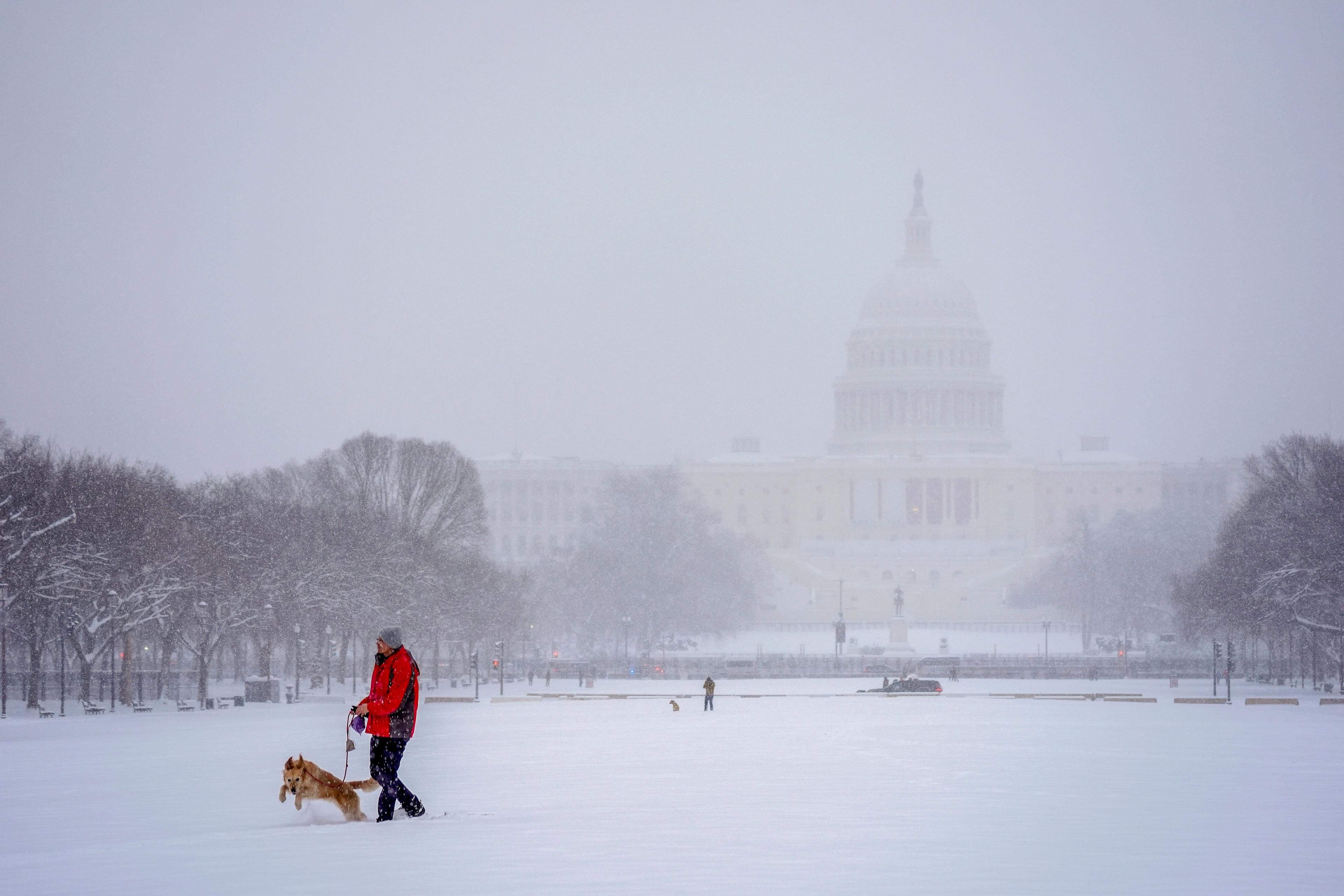 Raging Winter Storm Drops 12 Inches of Snow on Washington, Mid-Atlantic Region