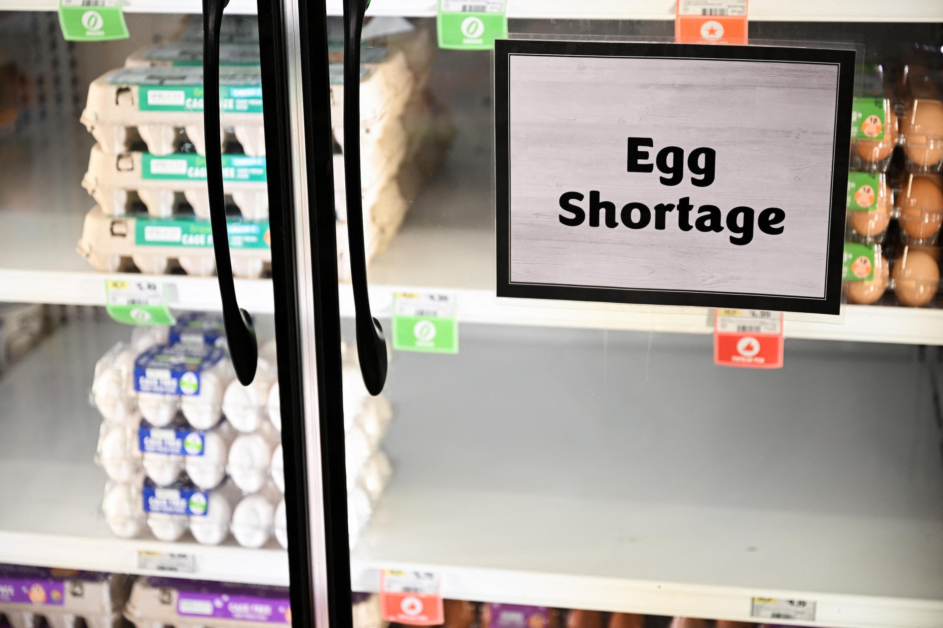 Egg shortage signage is displayed on partially empty shelves at a Sprouts Farmers Market grocery store in Lawndale, Calif., on Jan. 2, 2025. Bird flu and other factors have contributed to an egg shortage in the state. (Patrick T. Fallon/AFP via Getty Images)