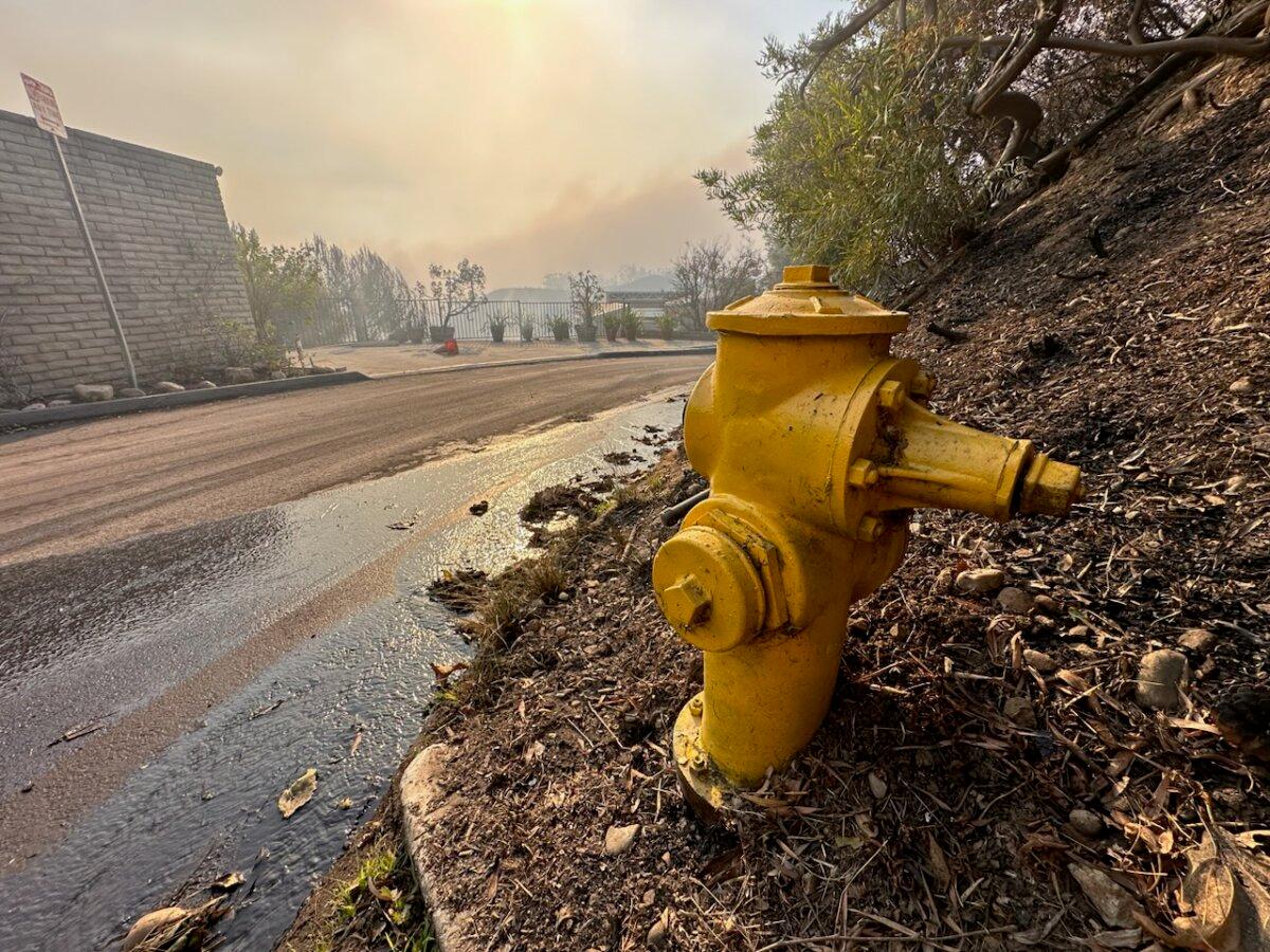 A fire hydrant in Pacific Palisades, Calif., on Jan. 8, 2025. (John Fredricks/The Epoch Times)