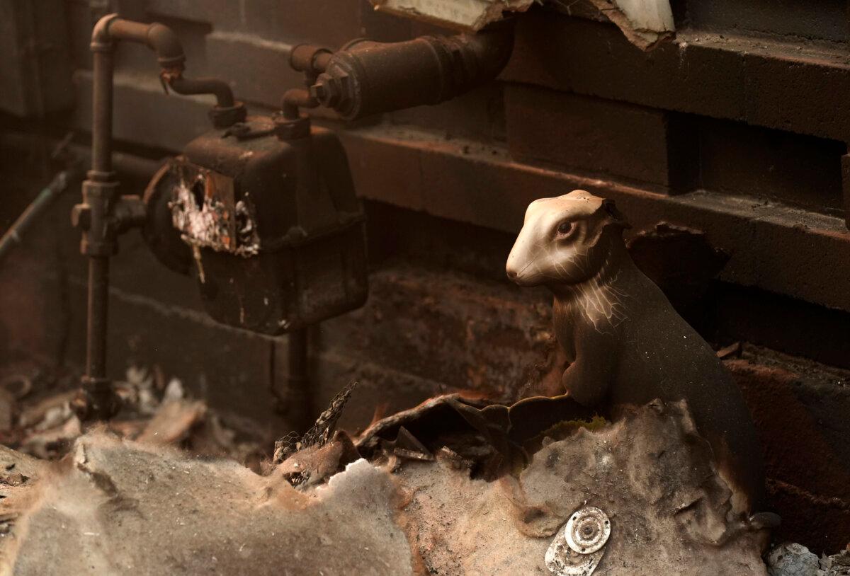 A charred bunny sculpture sits amidst debris at the destroyed Bunny Museum, Thursday, Jan. 9, 2025, in Altadena, Calif. (AP Photo/Chris Pizzello)