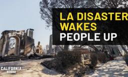 Residents Mobilize to Respond to Deadly Los Angeles Fires | Andrew Gruel | Gina Zapanta | Michael Alder