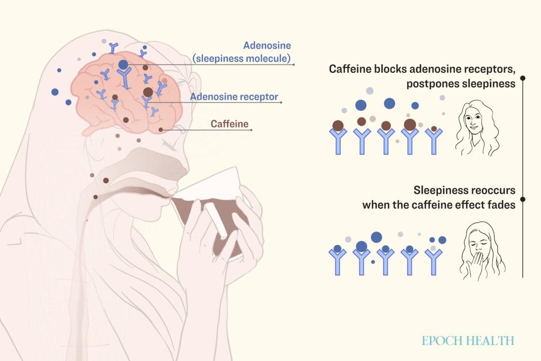 Caffeine has a molecular structure very similar to adenosine—a sleep-inducing molecule—allowing it to block adenosine from binding to its receptors and take its place. Once the effects of caffeine wear off, the accumulated adenosine floods the body with drowsiness signals. (Illustration by The Epoch Times, Shutterstock)