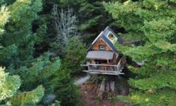 Treehouses in California to Rent for Your Next Getaway