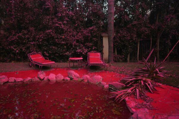 Fire retardant covers a backyard in Mandeville Canyon during the Palisades Fire in Los Angeles on Jan. 11, 2025. (Eric Thayer/AP Photo)