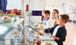 Bringing Real Food Back to US School Lunches—Lessons From Around the World