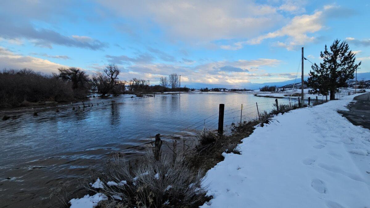 Swollen Shasta River in Siskiyou County, Calif., on Feb. 5, 2025. (Courtesy Lisa Mott)