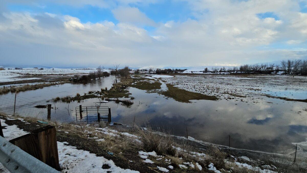 Flooded ranchlands in the Shasta River Valley in Siskiyou County, Calif., on Feb. 5, 2025. (Courtesy of Lisa Mott)