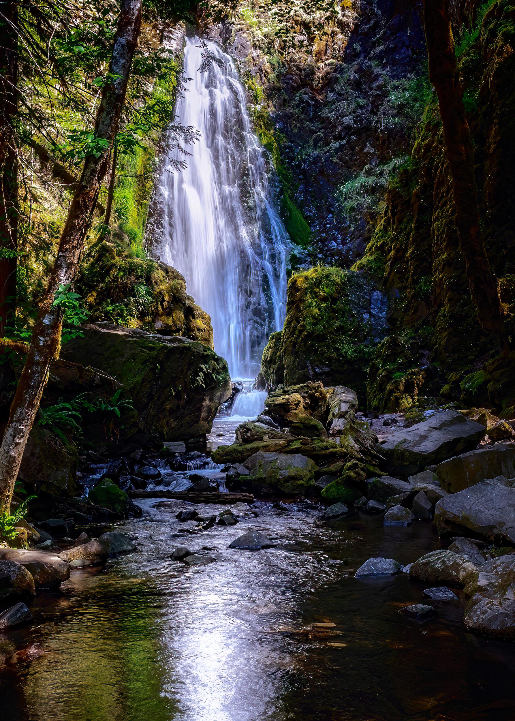 Susan Creek Falls is accessible year-round, although water flow is strongest in the winter and spring months. (Maria Coulson)