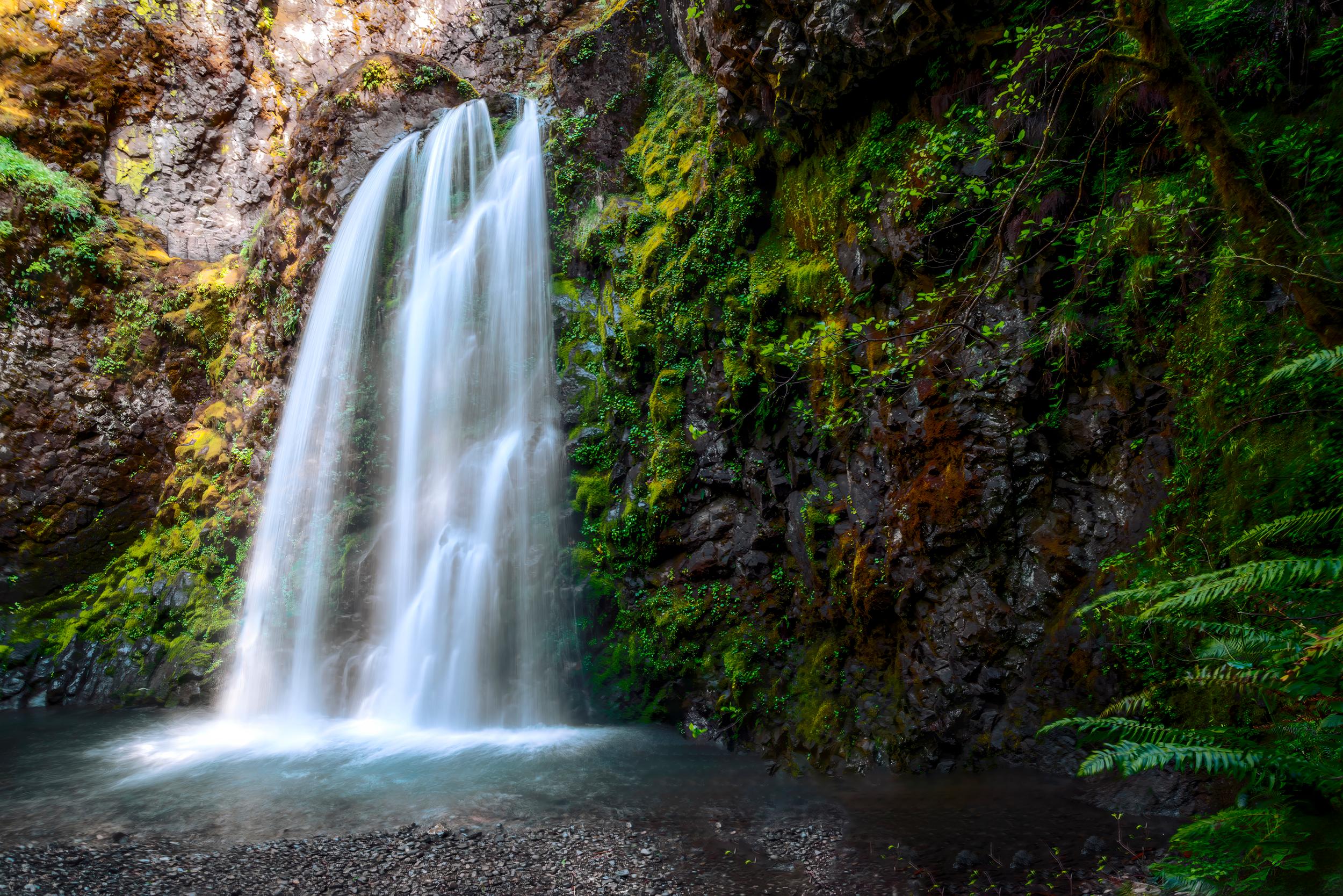 Fall Creek Falls also features ferns, moss-covered basalt, and a serene creek, making it an ideal destination for photographers. (Maria Coulson)