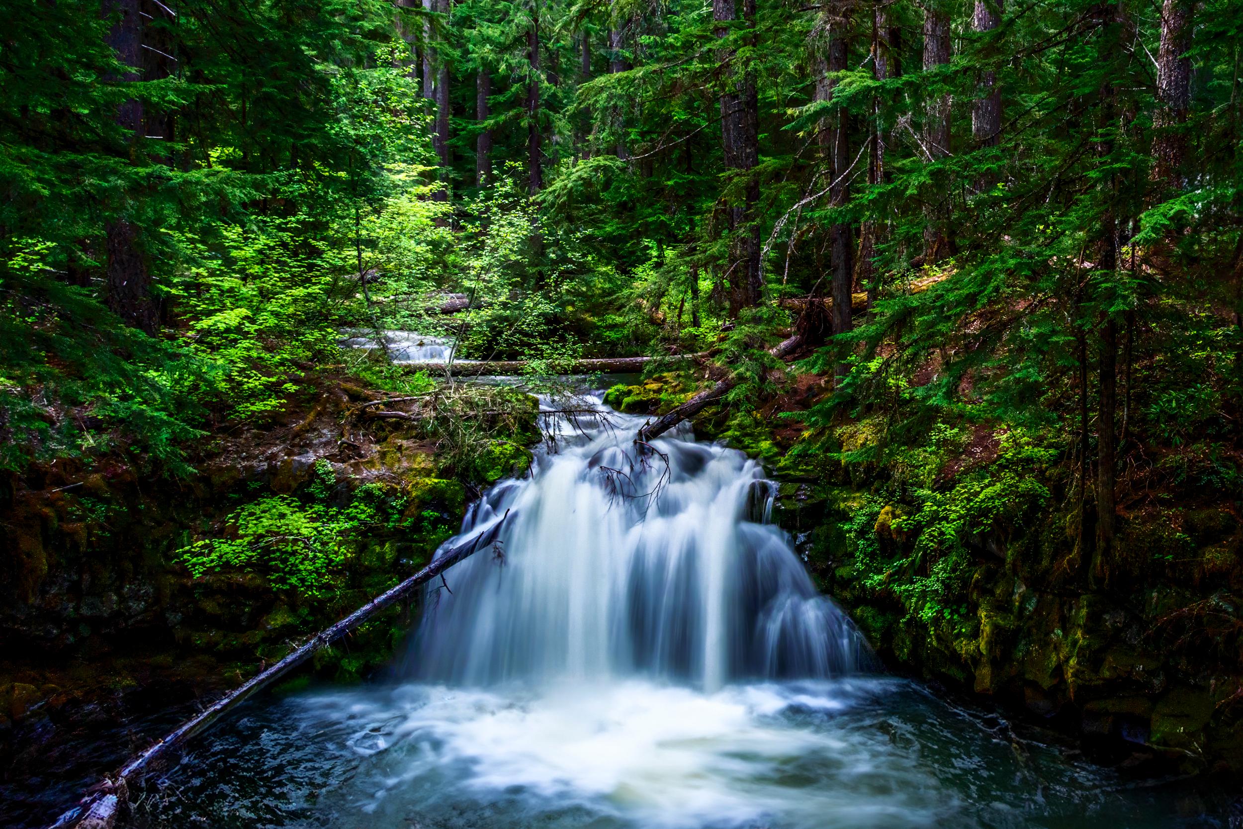 In winter, Whitehorse Falls sometimes freezes partially, creating a stunning icy scene. (Maria Coulson)