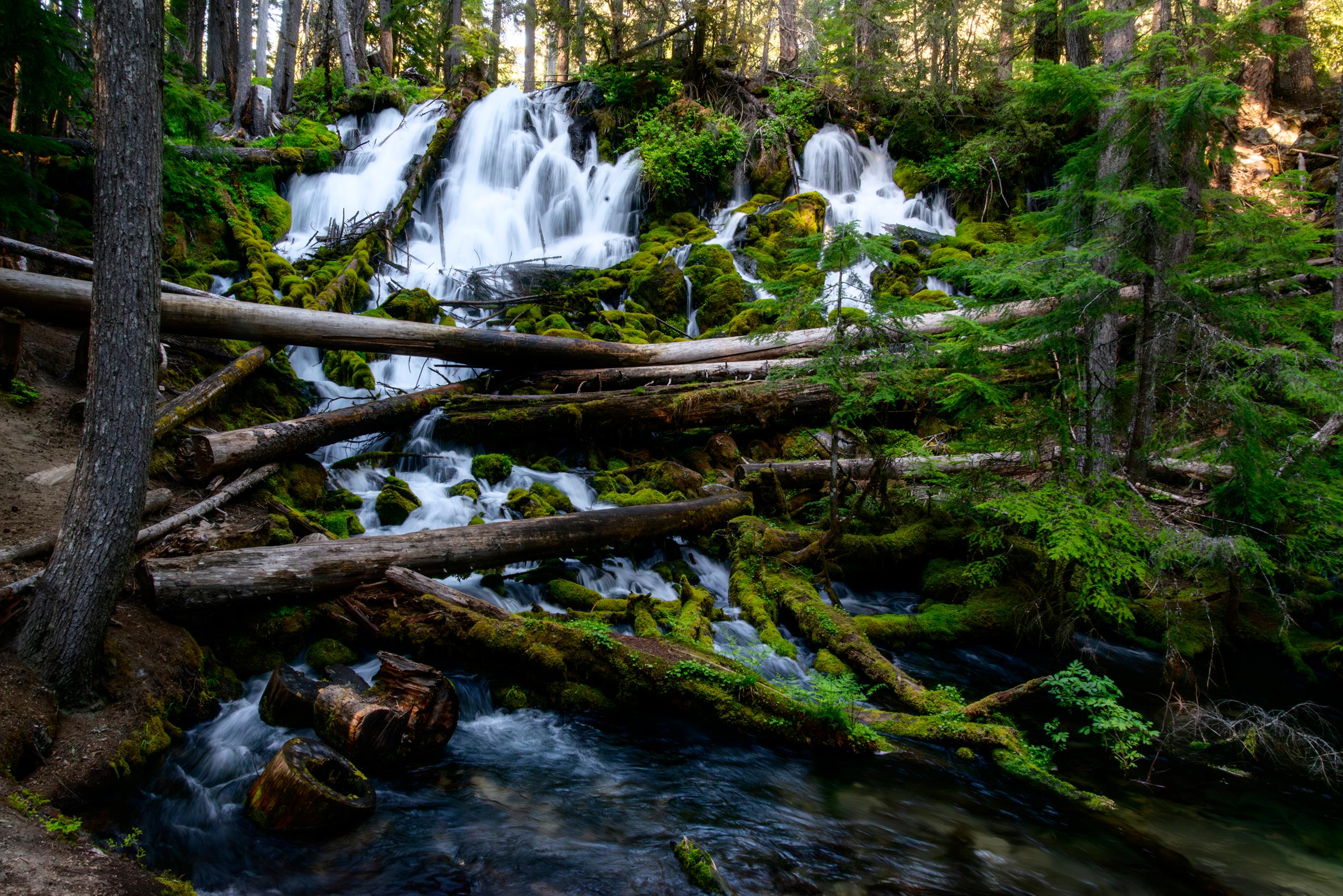 Unlike many waterfalls that originate from mountain runoff, Clearwater Falls is fed from underground springs, keeping its flow steady even in dry seasons. (Maria Coulson)