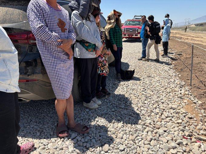 Federal and local authorities uncovered about 790 acres dedicated to illegal marijuana operations in Southern California on June 18, 2025. (U.S. Drug Enforcement Agency)