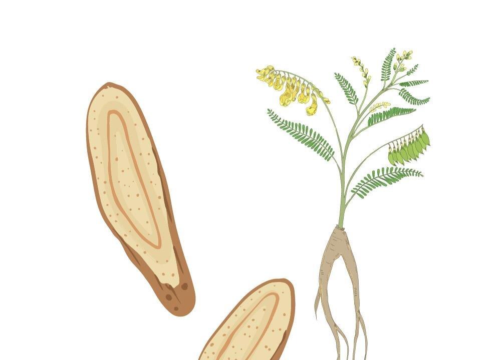 (Illustration by The Epoch Times, Shutterstock)