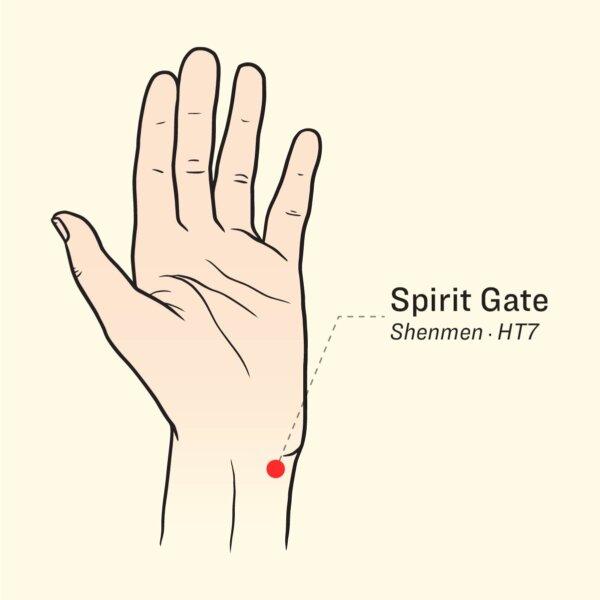 (Illustration by The Epoch Times, Shutterstock)