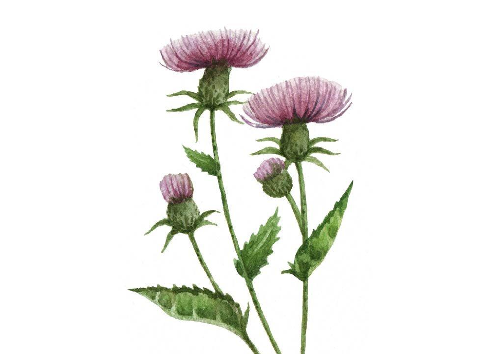 (Illustration by The Epoch Times, Shutterstock)